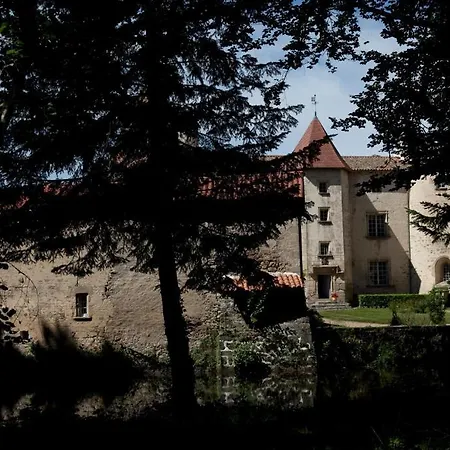 Chateau Des Martinanches 4* Saint-Dier-dʼAuvergne