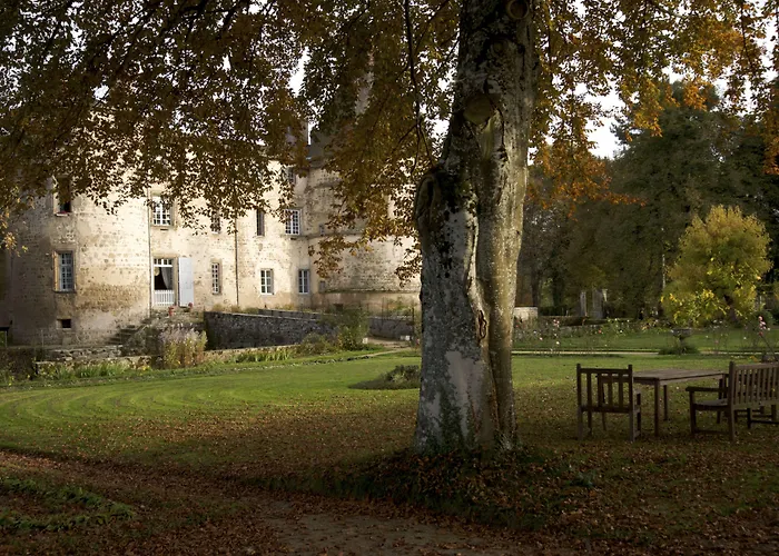 Chateau Des Martinanches 4*