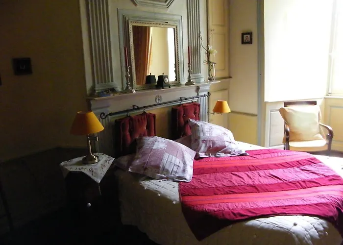 Chateau Des Martinanches Nocleg ze śniadaniem 4*